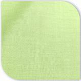 Lime-Green-100-Count.jpg
